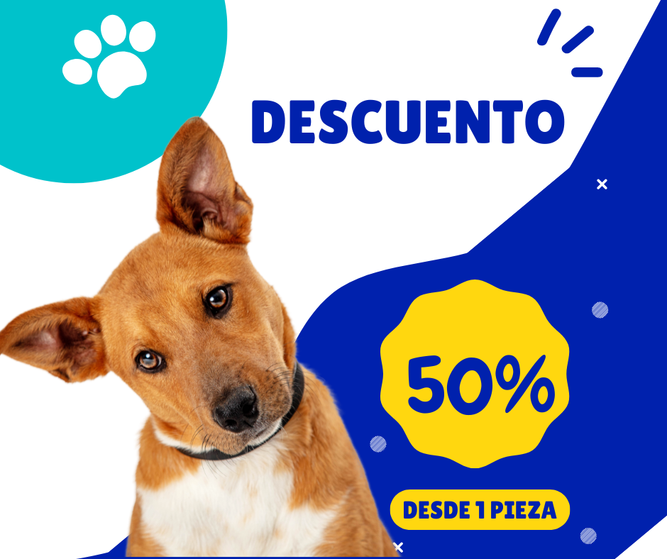 t13862 1 Pieza Cuchara medidora multifuncional de mascota mayoreo petshow  para pet – celtok