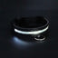 CT1804 1 Pieza De Collar De Luz LED De USB Recargable