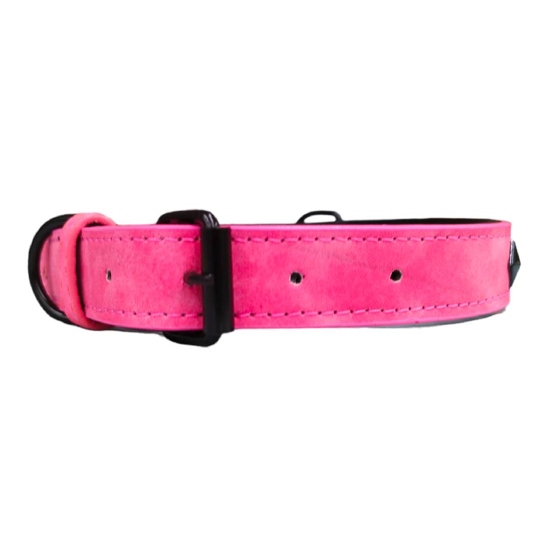 CT1436 1 Pieza De Collar Para Mascota