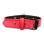 CT3003 1 Pieza De Collar Para Mascota