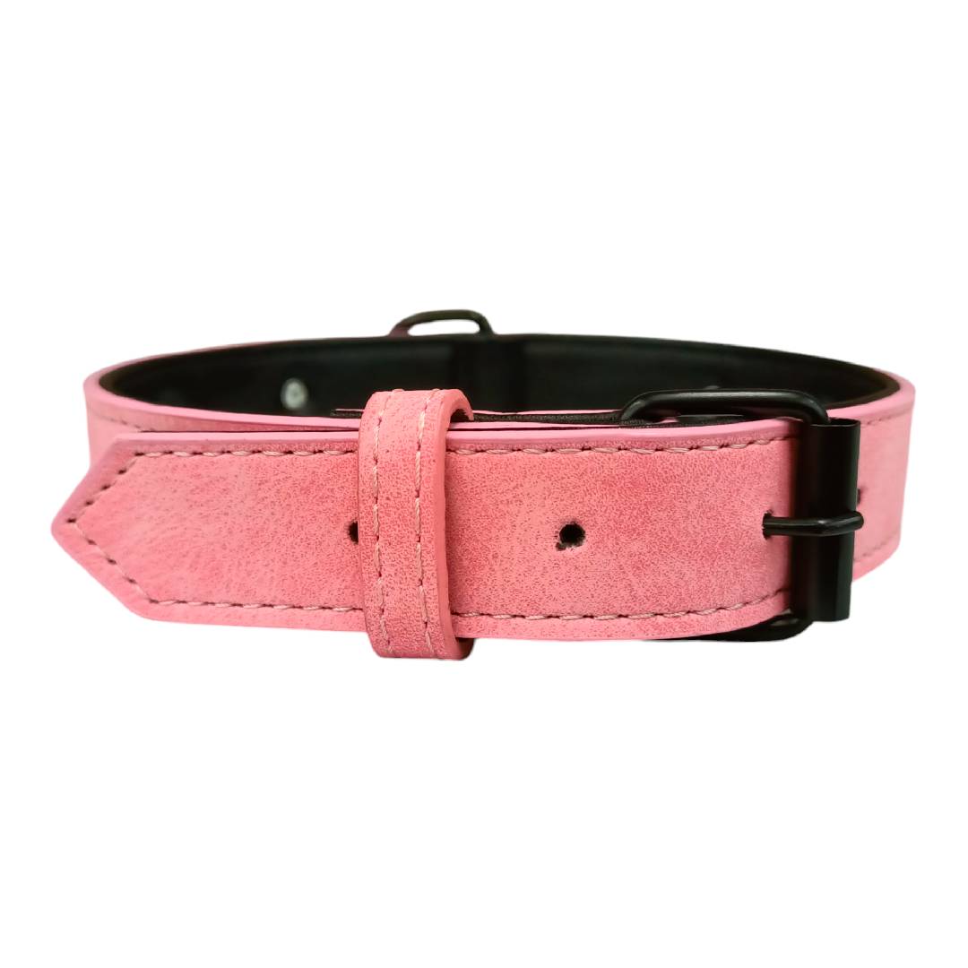 CT3003 1 Pieza De Collar Para Mascota