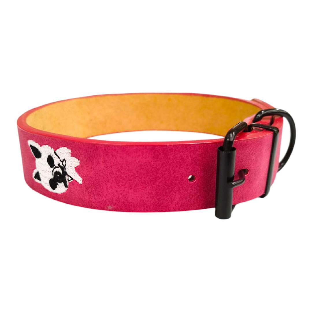 CT0354 1 Pieza De Collar Para Mascota