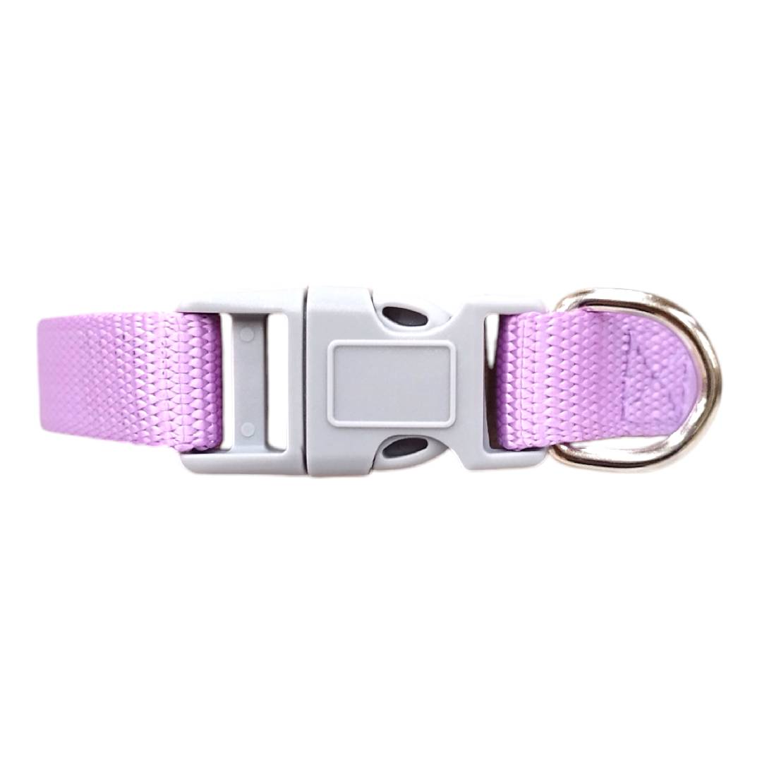 CT2495 1 Pieza De Collar Para Mascota