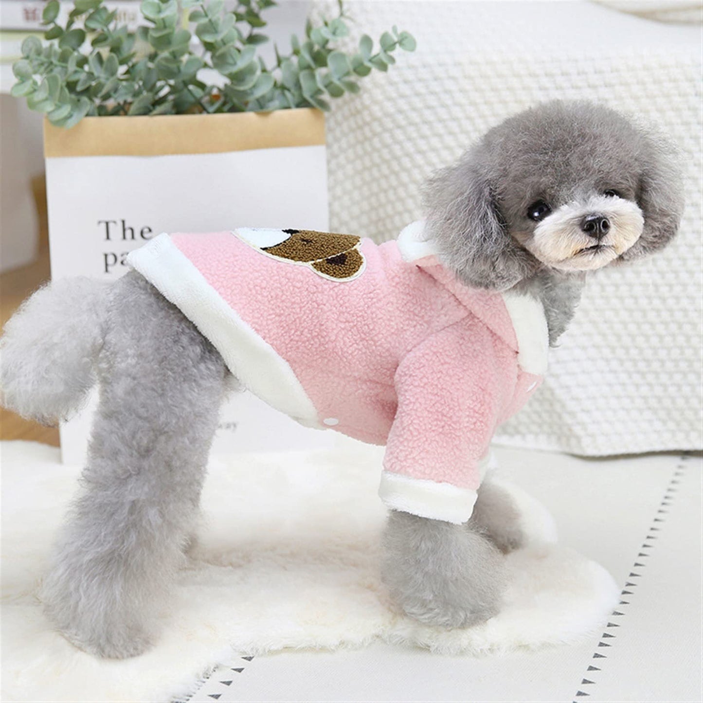 CT6072 1 Pieza De Ropa De Invierno Para Mascota Diseño Oso