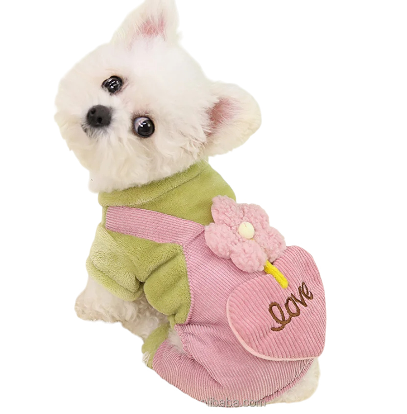 CT0667 1 Pieza De Ropa Para Mascota