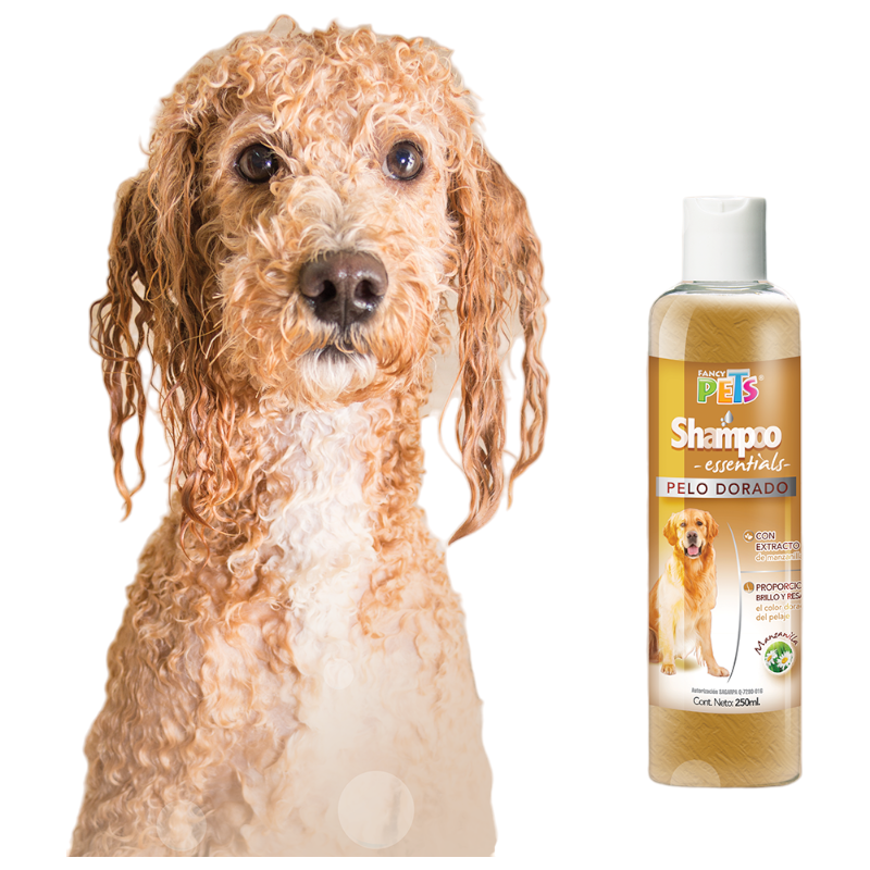 FL3972 1 Pieza Shampoo Pelo Dorado Para Perro