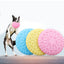 CT1156 1 Pieza Juguete Plato Frisbee Para Mascota