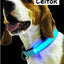 CT1804 1 Pieza De Collar De Luz LED De USB Recargable