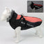 CT4772 1 Pieza De Ropa Para Mascota