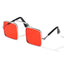 CT7134 1 Pieza Gafas Para Mascota De Lentes