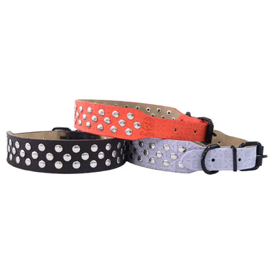 CT5803 1 Pieza De Collar Para Mascota