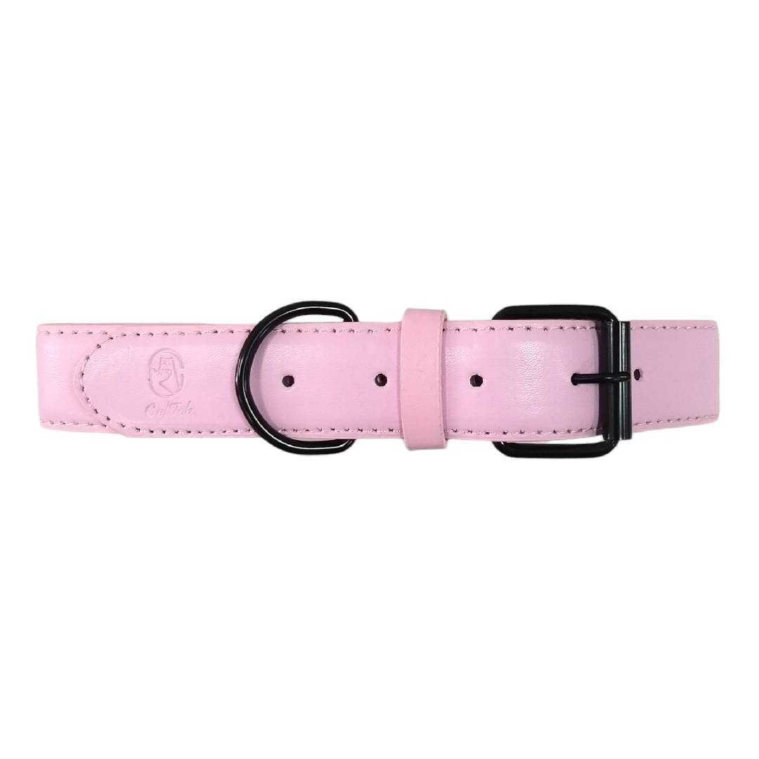 CT5629 1 Pieza De Collar Para Mascota