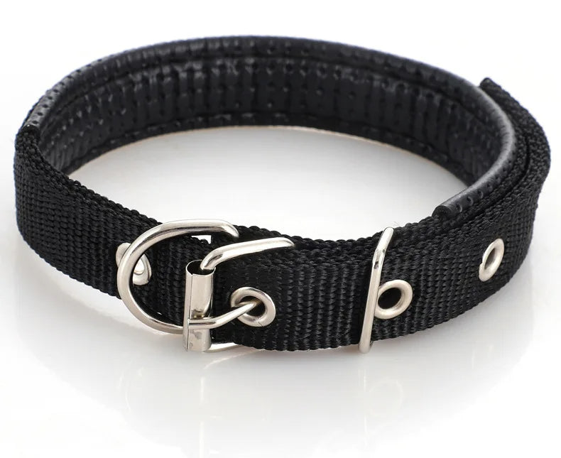 CT1644 1 Pieza De Collar Para Mascota