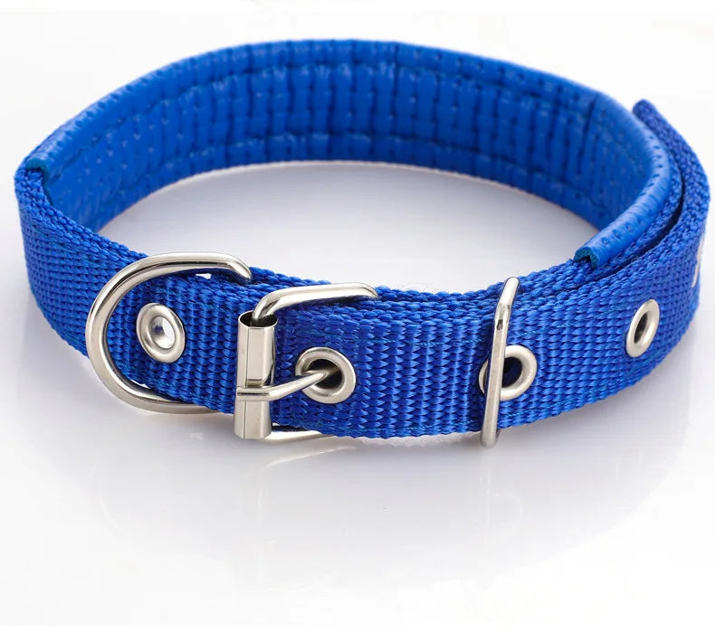 CT1644 1 Pieza De Collar Para Mascota