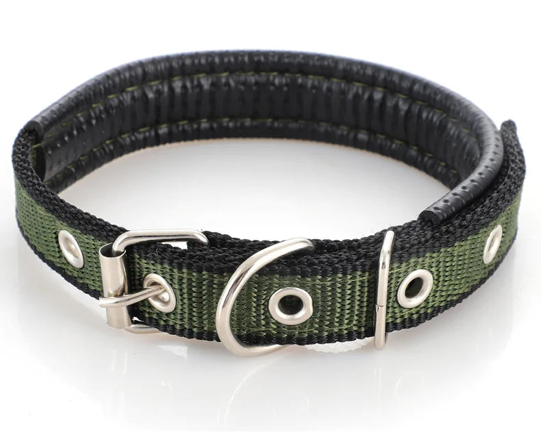 CT1644 1 Pieza De Collar Para Mascota