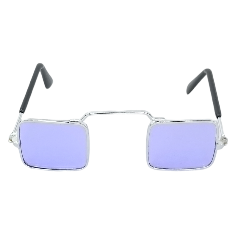 16113 1 Pieza Gafas Para Mascota De Lentes