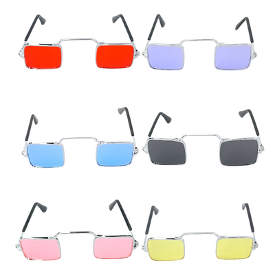 16114 1 Pieza Gafas Para Mascota De Lentes