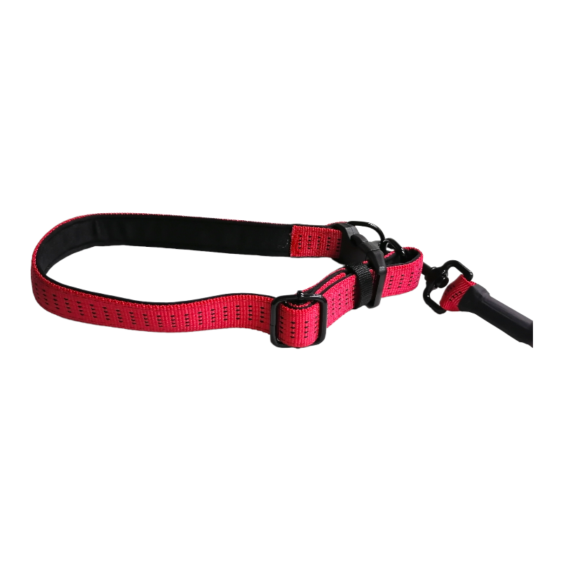 CT0469 1 Pieza De Correa De Resorte & 1 Pieza De Collar Para Mascota